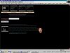 Site Search